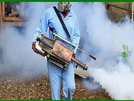 Commercial Fumigation