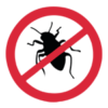 bed bugs Control