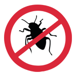 bed bugs Control
